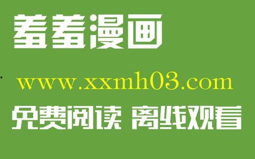 91pom  国产视频,国产视频领域的璀璨明珠