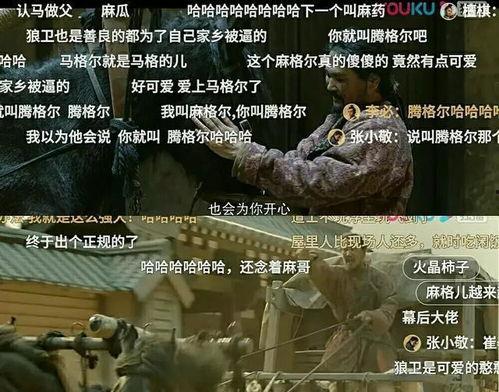 国产学霸视频播放不了了,探索原因与解决方案