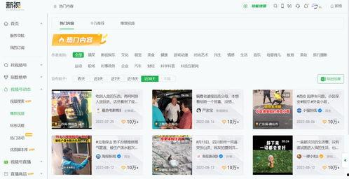 大香蕪国产视频网站,探索本土影视文化的魅力窗口