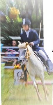 走马术国产动漫视频大全,国产走马术动漫视频盛宴