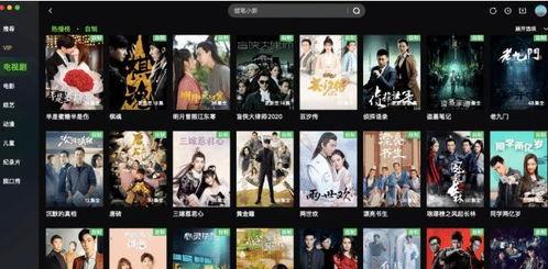 国产黡片视频网站bt,探索国内影视资源新天地