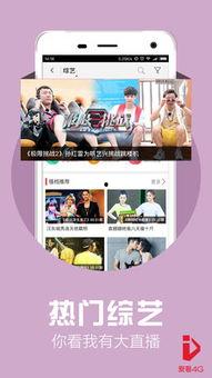 4g国产短视频华人,华人在4G国产短视频领域的崛起与影响力