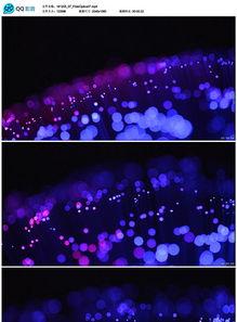 国产夜场ktv汇总视频,动感音乐与时尚娱乐的完美融合