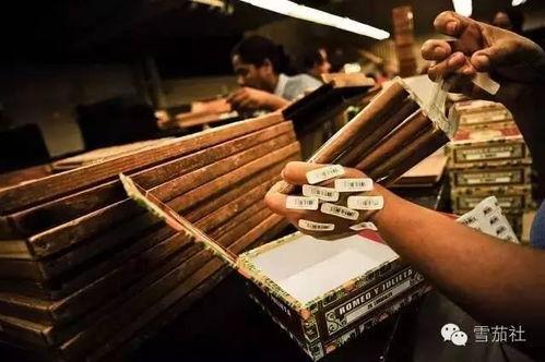 国产雪茄发酵过程视频,视频带你领略烟叶蜕变之旅